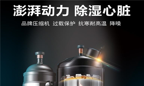湯旺河區(qū)夏季潮濕如何解決？可以放置工業(yè)抽濕機(jī)