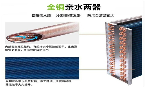 地下室倉庫使用除濕機，確保倉庫干燥無濕氣