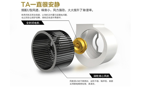 輕紡服裝鞋帽車間有效除濕辦法？